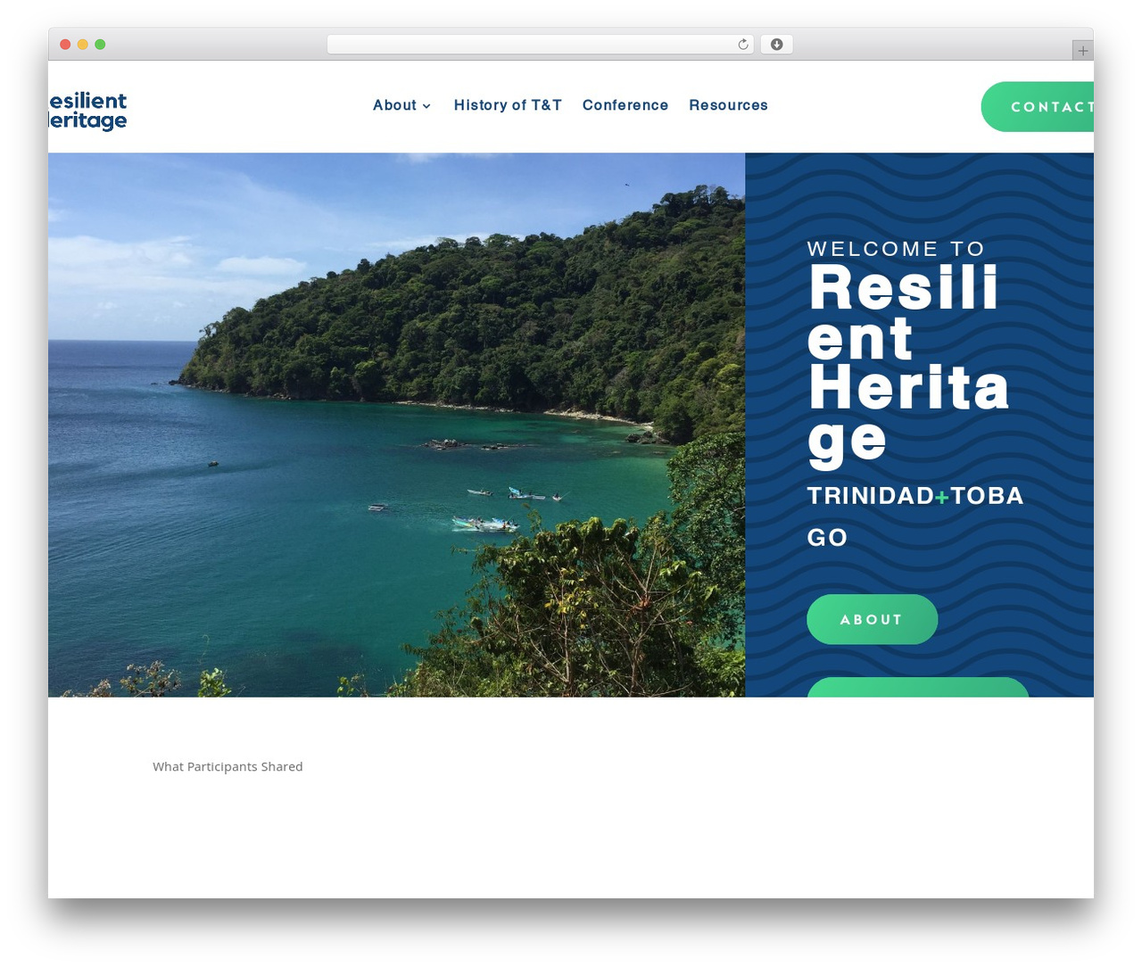 WordPress theme Divi - resilientheritagett.com