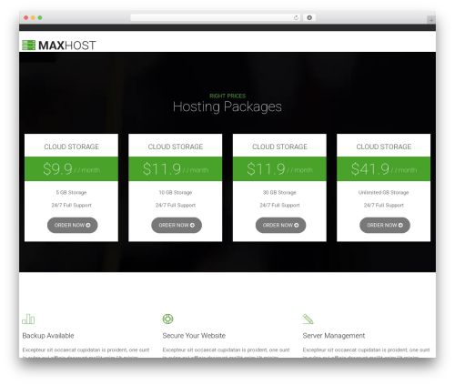 The_maxhost_extensions WordPress plugin - dssecurity.ch