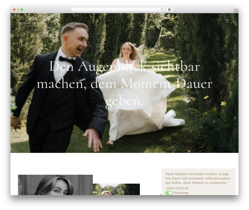 Palette core WordPress plugin - carlottasophia.de