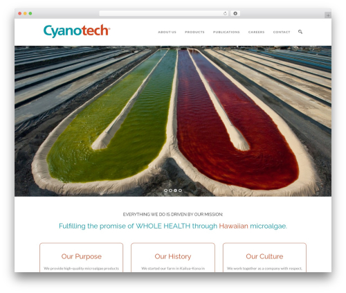 Mega Addons For WPBakery Page Builder (mega-addons-for-visual-composer) free WordPress plugin - cyanotech.com Mega Addons For WPBakery Page Builder (mega-addons-for-visual-composer) free WordPress plugin - cyanotech.com