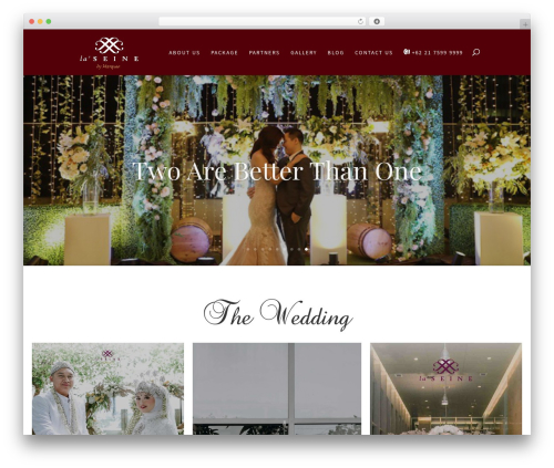 WP theme Divi - laseinehall.com