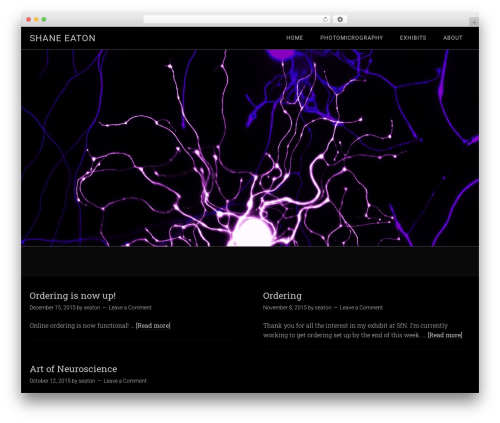 Minimum Pro Theme WordPress theme design - shaneeaton.ca