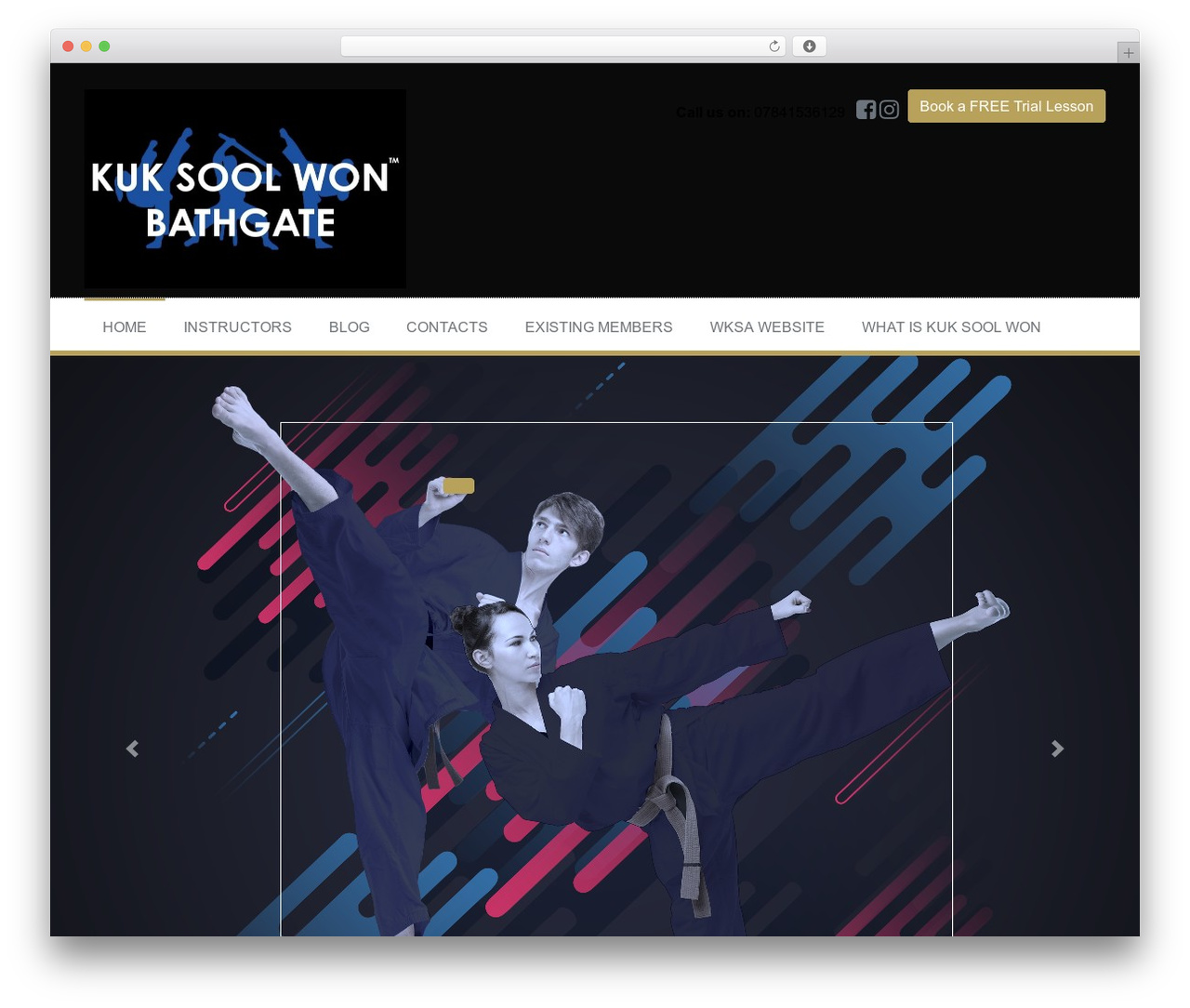 NEST API Websites WordPress theme - martialartsbathgate.com