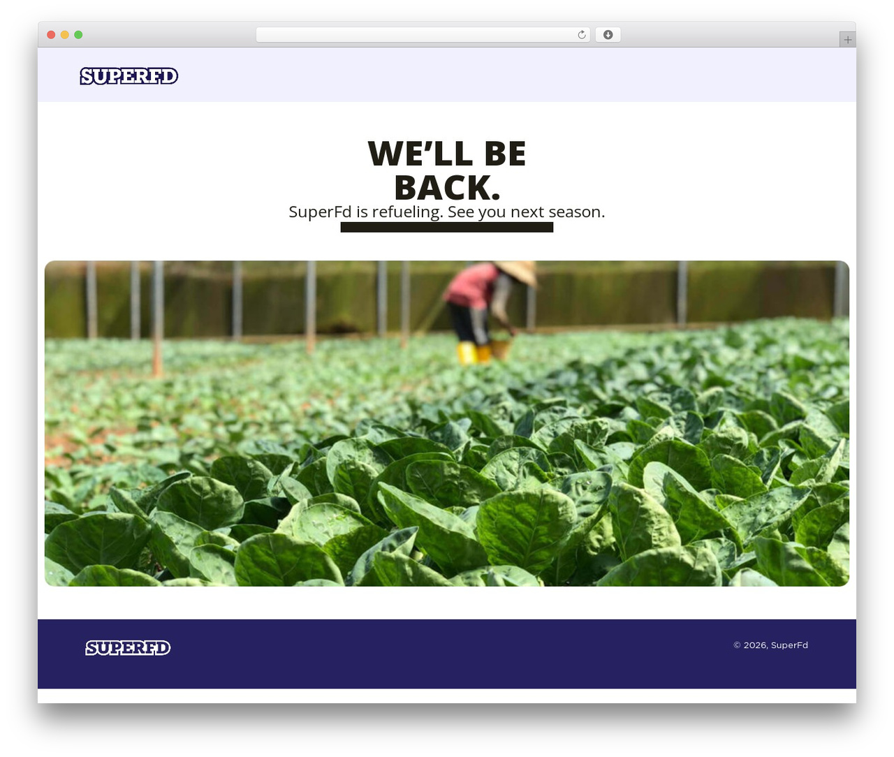 Theme WordPress Hello Elementor - mysuperfd.com