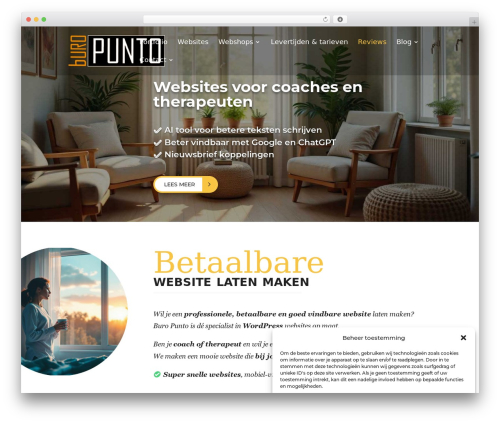 Theme WordPress Divi - punto.nu