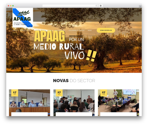 Revolution_slider WordPress plugin - apag.gal