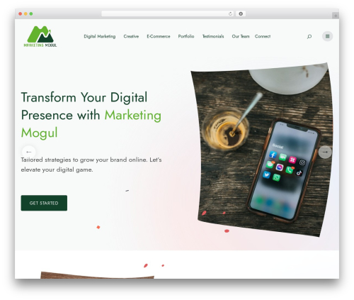 Enpix core WordPress plugin - marketing-mogul.com