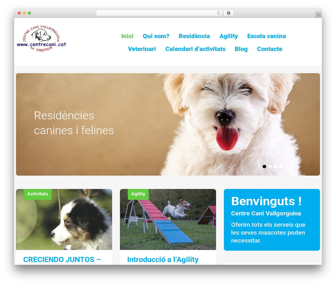 cherry WordPress theme - centrecani.cat cherry WordPress theme - centrecani.cat