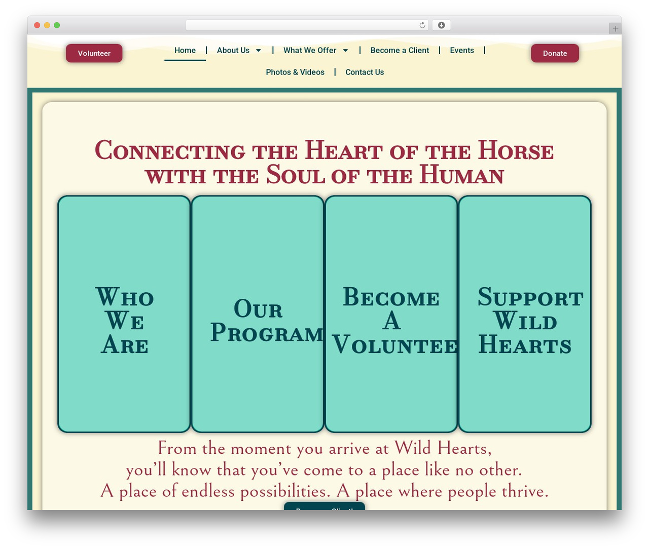 Hello Elementor Child WordPress theme - wildheartsequinetherapy.org