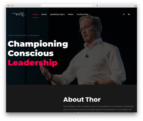 Trydo core WordPress plugin - thorolafsson.com