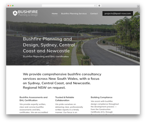 WordPress theme Divi - bpad-nsw.com