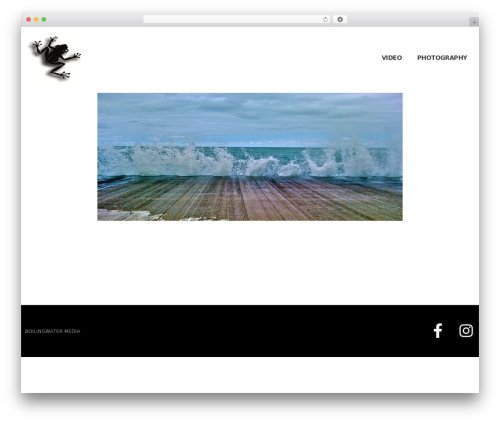 Traffic monitor WordPress plugin - boilingwatermedia.com