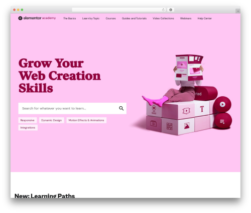 Elementor network WordPress plugin - elementor.com/academy