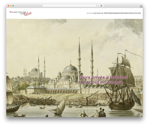 Kubio pro WordPress plugin - guideturc.com