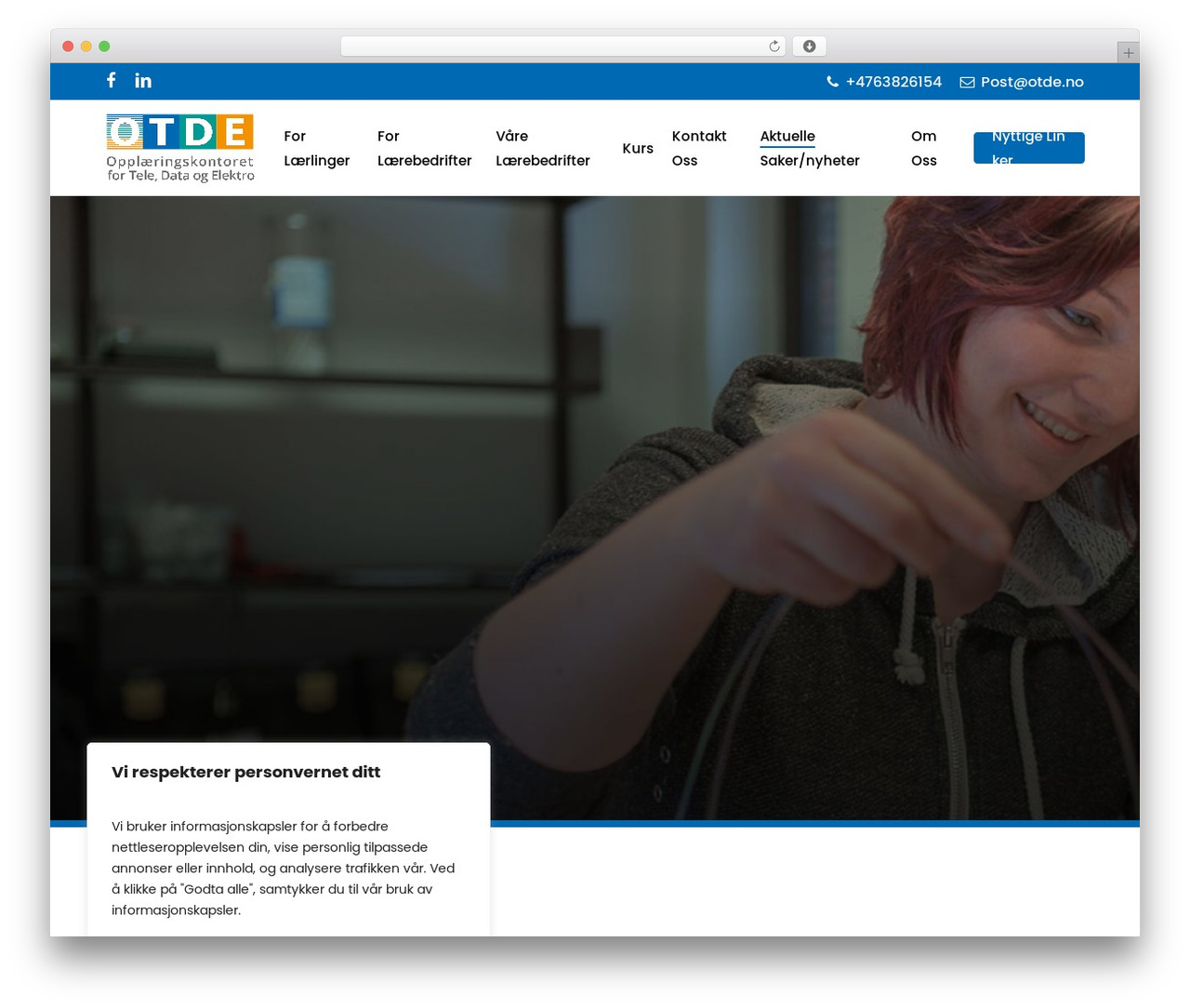 Theme WordPress Salient - otde.no