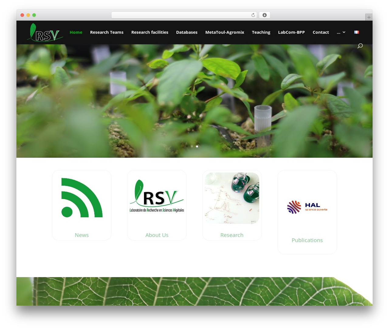 WordPress theme Divi - lrsv.cnrs.fr