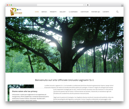 FLV Embed (flv-embed) free WordPress plugin - urciuolo.it FLV Embed (flv-embed) free WordPress plugin - urciuolo.it