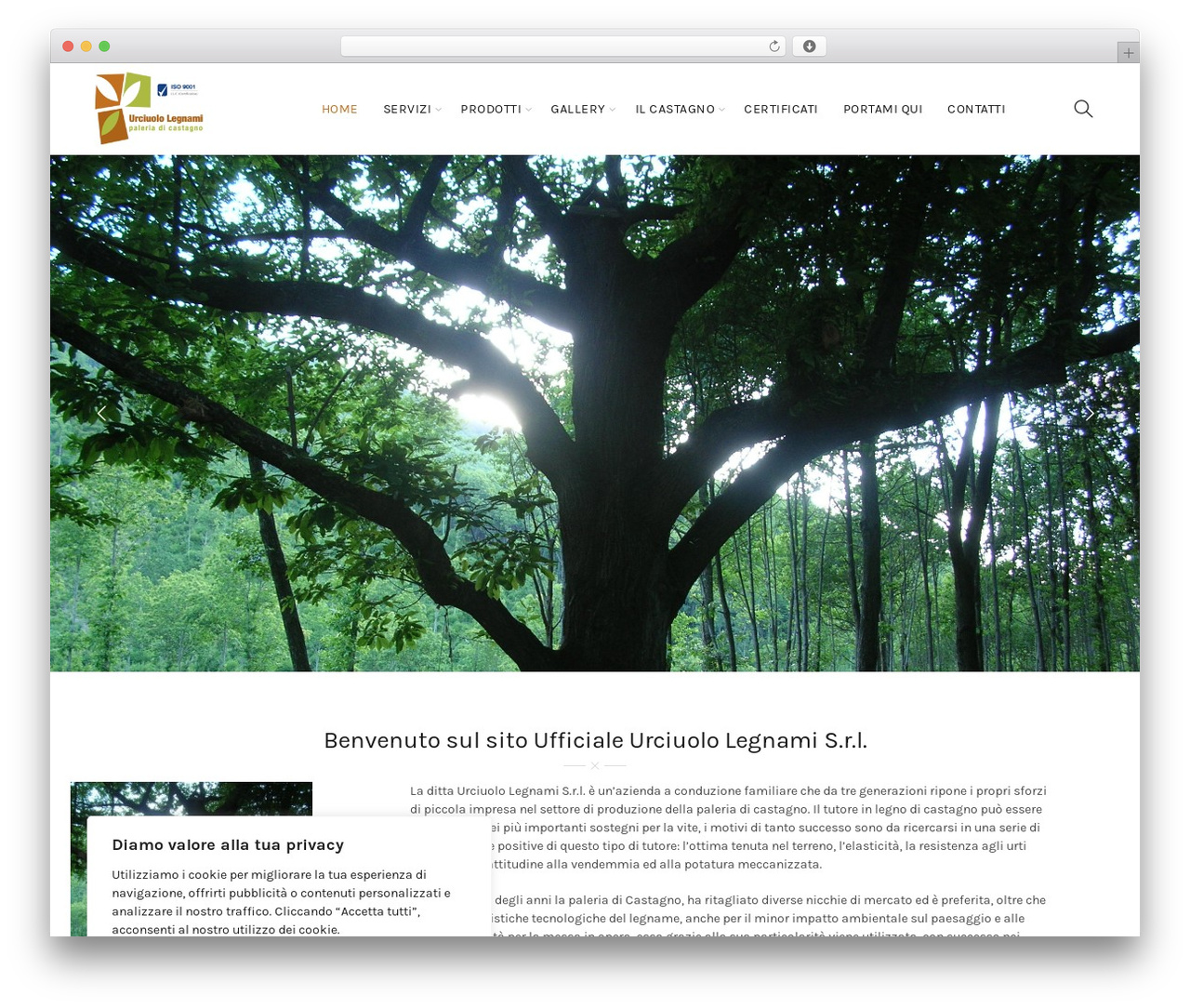 Basel theme WordPress - urciuolo.it
