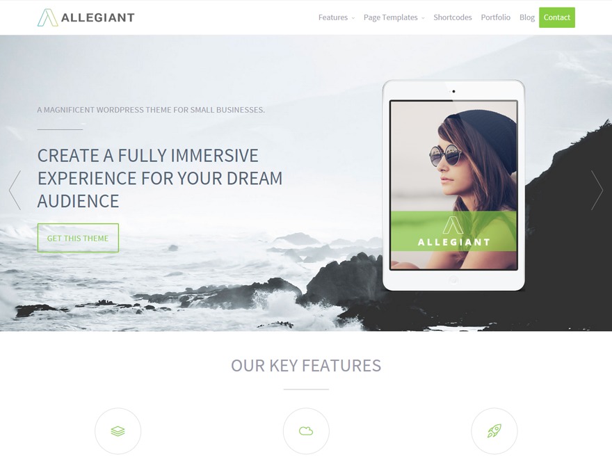 BrLight WordPress theme
