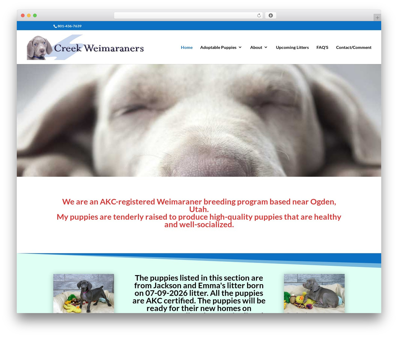 Divi WordPress theme - creekweim.com
