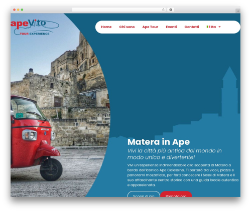 Theme WordPress Hello Elementor - apevito.com