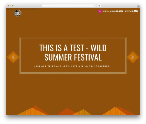 Theme WordPress Electron - wildsummerfestival.info