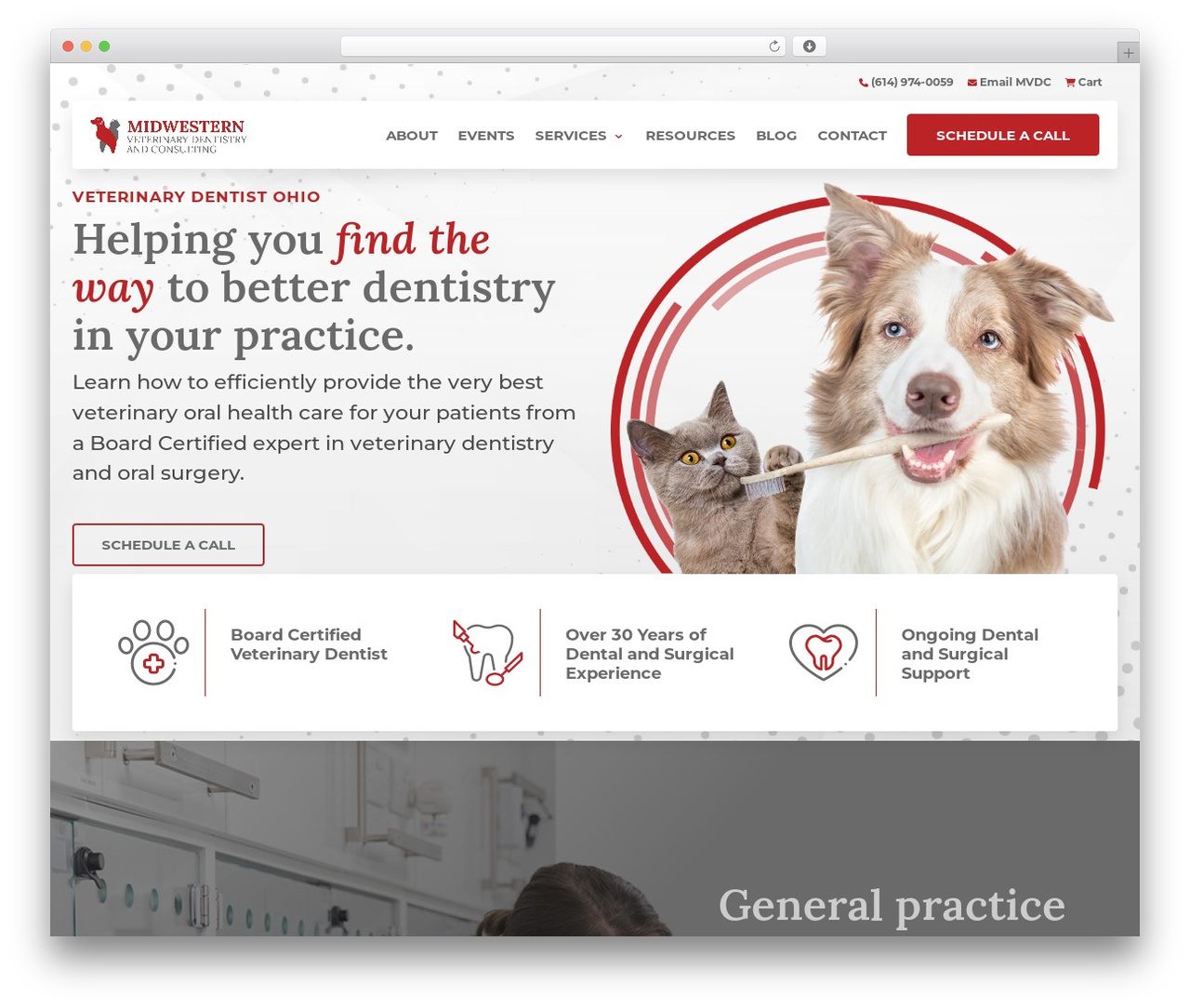 Buckeye Veterinary Dentistry and Consulting theme WordPress - veterinarydentalconsulting.com