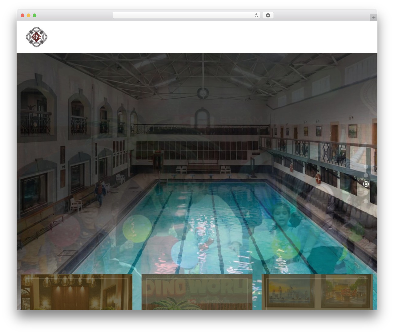 Grulf WordPress theme - calcuttaswimmingclub.com