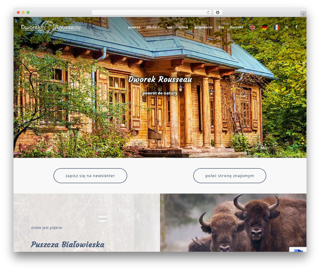 Dworysko20 WordPress theme - dworysko.info