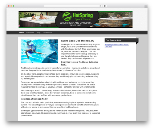 SmallBiz Dynamic WordPress theme design - swimspasdesmoines.com