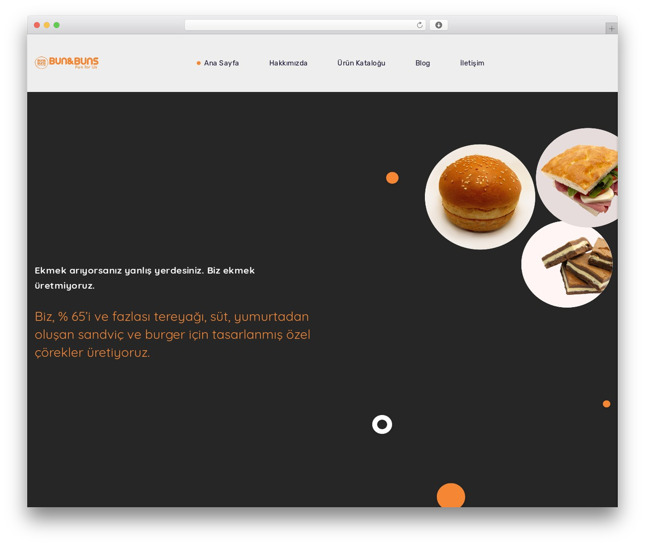 Starbelly WordPress theme design - bunandbuns.com