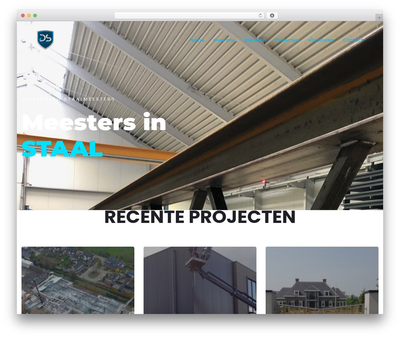 Trydo best WordPress theme - dikkenberg-staalmeesters.nl