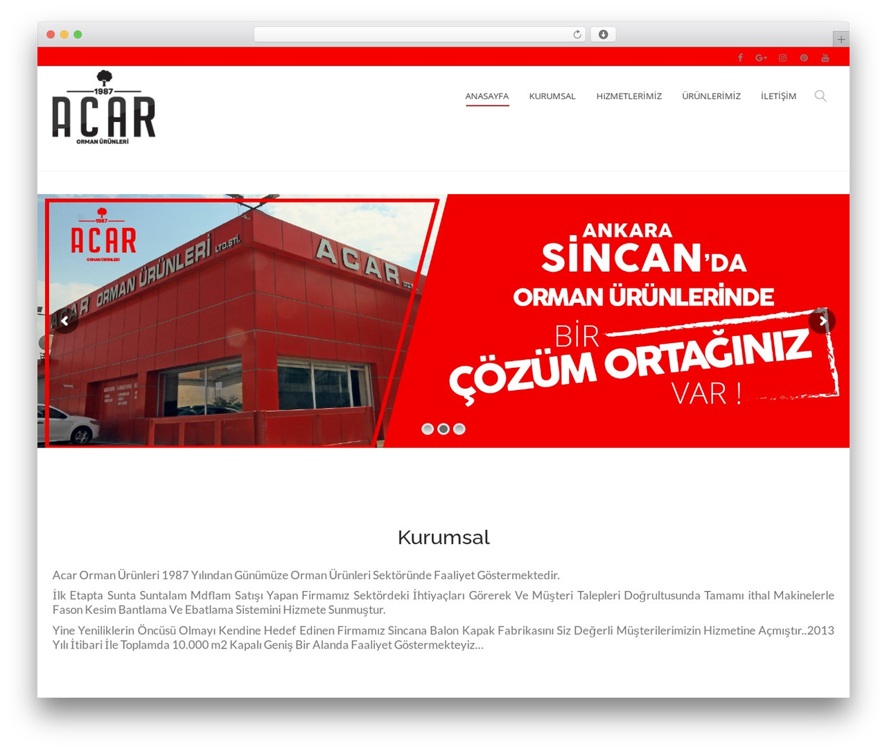 WordPress theme Artim Theme - acarorman.com.tr