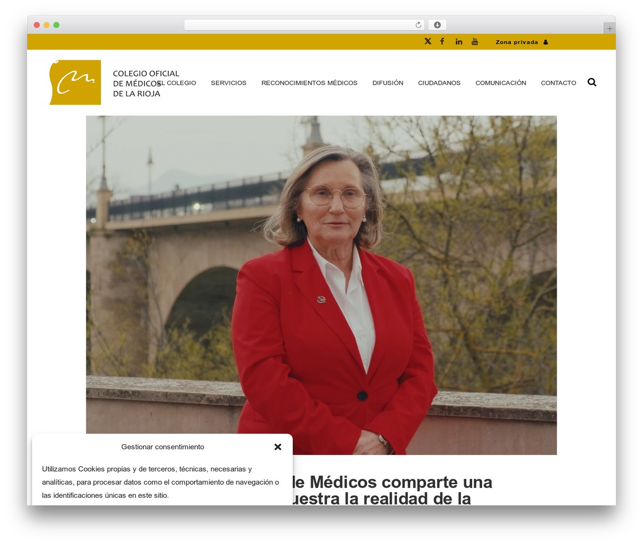 WordPress theme Bridge - medicosrioja.com