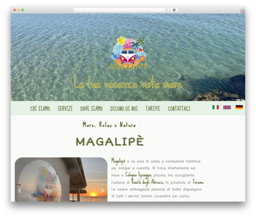 Elementor pro 2 WordPress plugin - magalipe.it