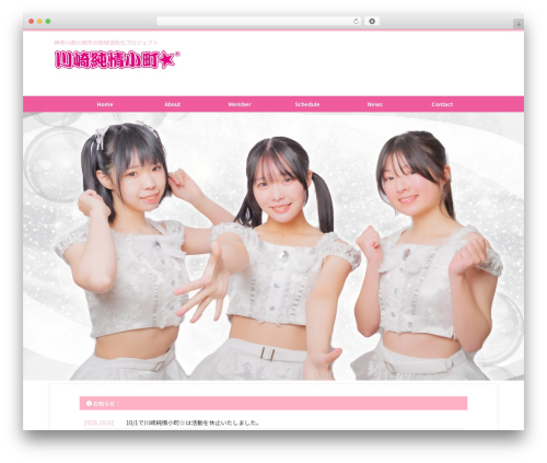 St blocks WordPress plugin - kjk-official.com