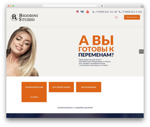 OWL Carousel – WordPress Owl Carousel Slider (lgx-owl-carousel) free WordPress plugin - bigodini.ru