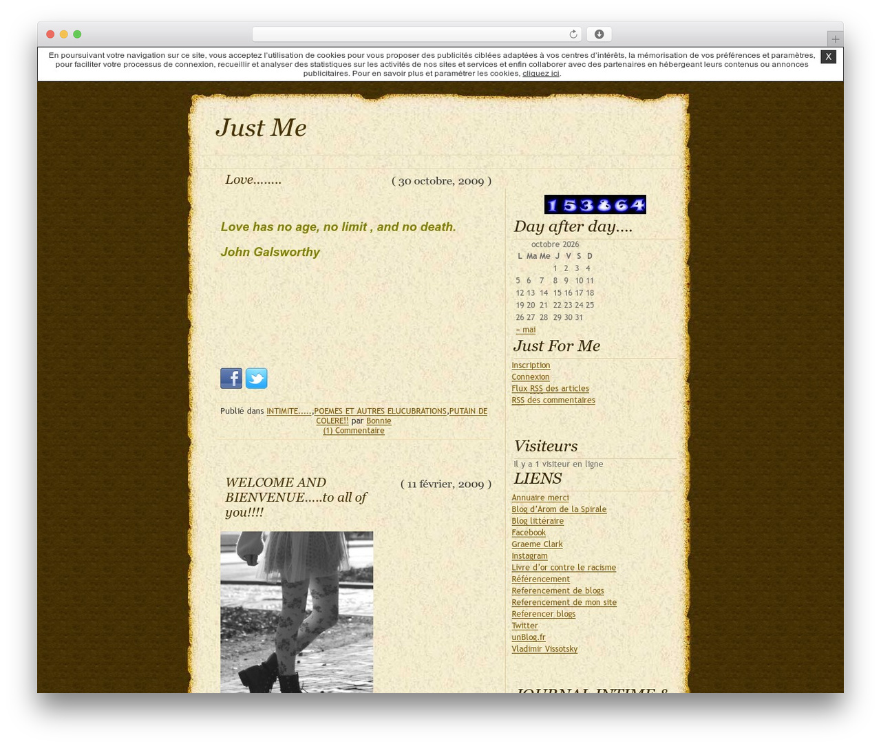 DaVinci-Code WordPress page theme - bonniewithoutclyde.unblog.fr