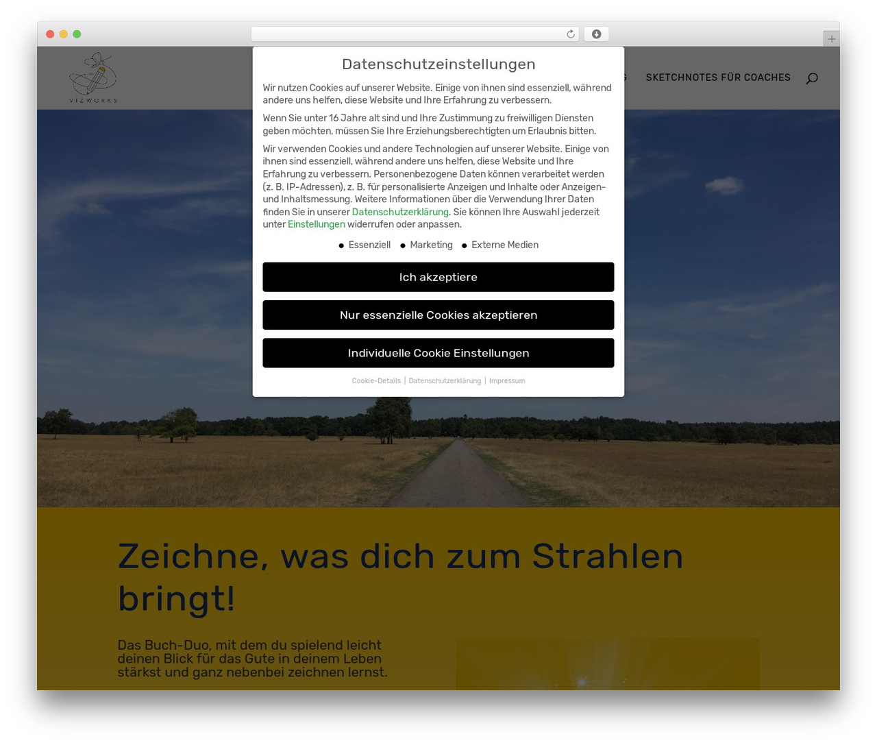 Divi theme WordPress - vizworks.de