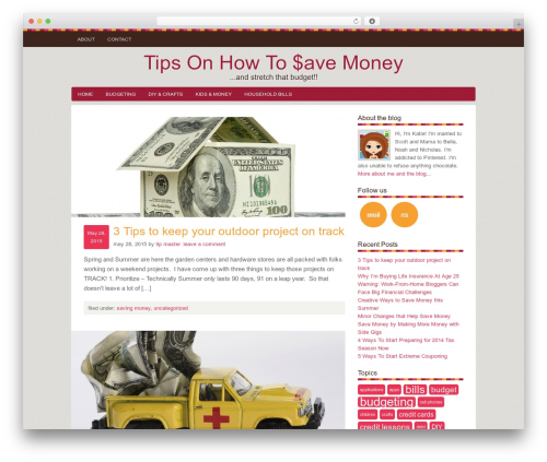 Social circles WordPress plugin - tipsonhowtosavemoney.com