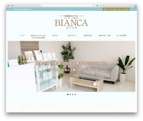 Leaf WordPress theme - bianca-salon.net