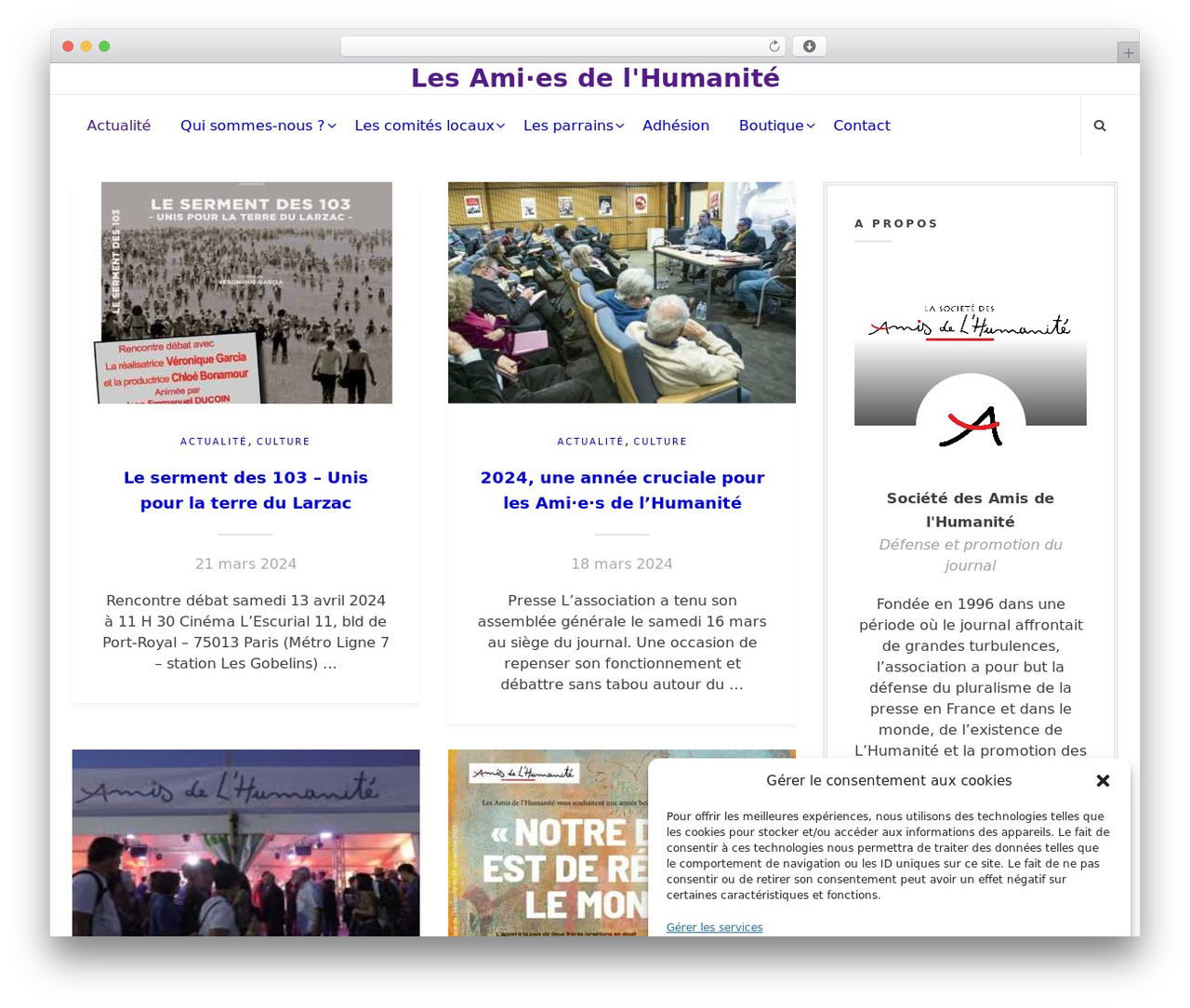 Simplart theme WordPress - amis-humanite.fr Simplart theme WordPress - amis-humanite.fr