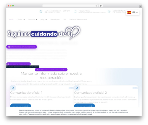 Theme WordPress Hello Elementor - clinicavisualyauditiva.com