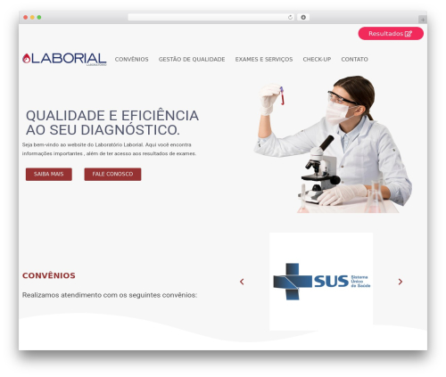 Elementor pro.old WordPress plugin - laboriallaboratorio.com.br