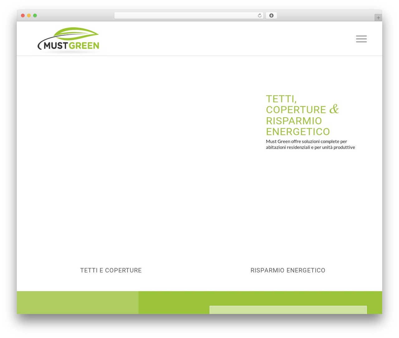 WordPress theme Alkius Child - mustgreen.ch