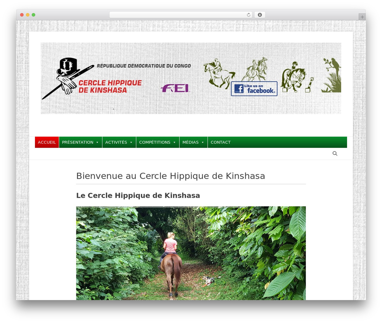 WordPress theme Catch Base - chk-kinshasa.com