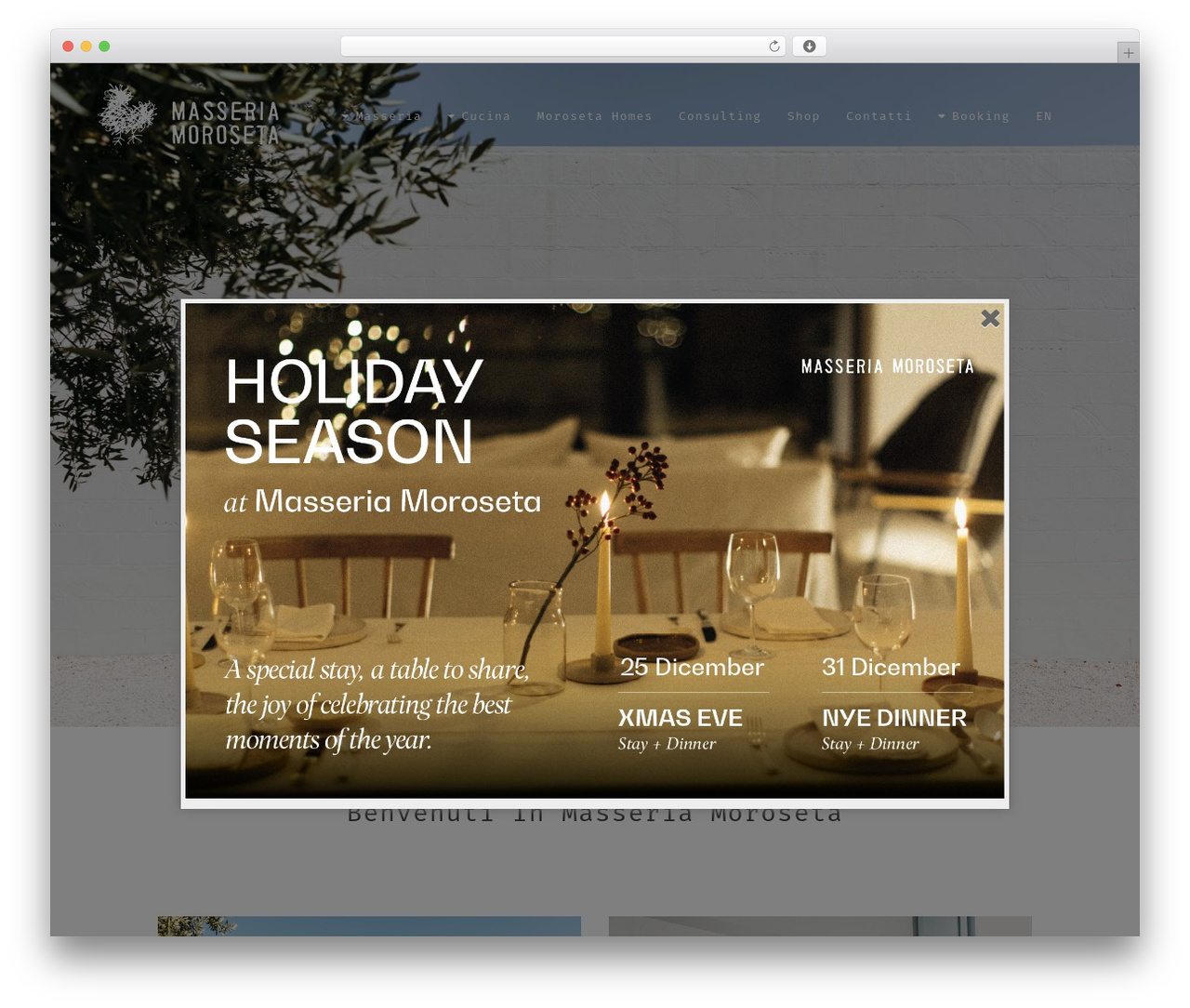 Bridge theme WordPress - masseriamoroseta.it Bridge theme WordPress - masseriamoroseta.it