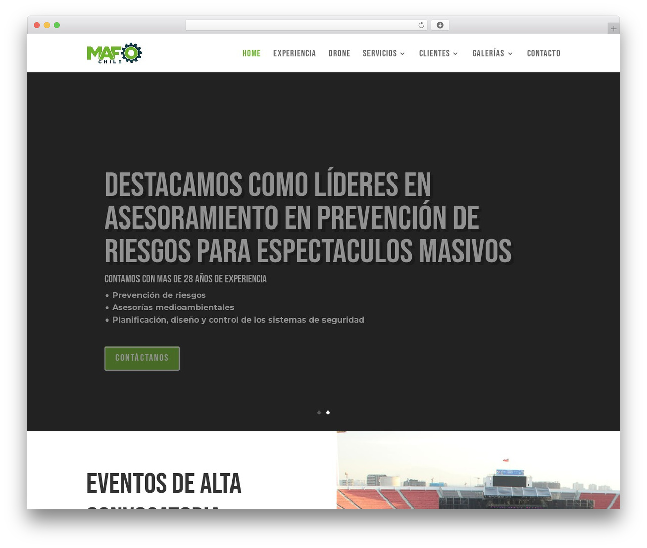 Divi WordPress theme - mafo.cl