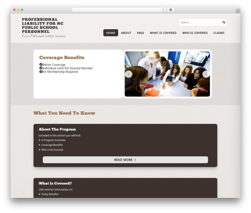 Divi WordPress theme - professionalliabilitync.com