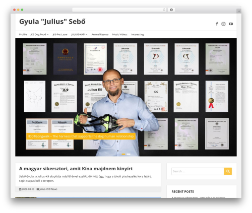 NEBlue best WordPress theme - sebogyula.hu